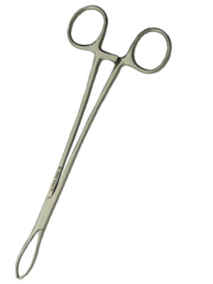 Littlewood Tissue Forceps