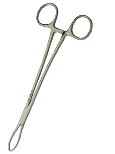 Littlewood Tissue Forceps