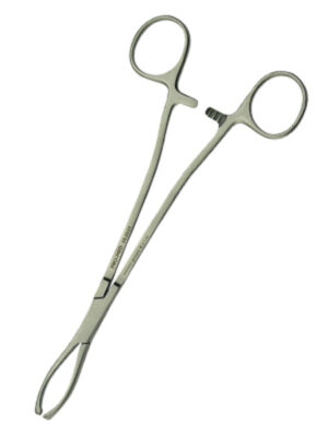 Littlewood Tissue Forceps