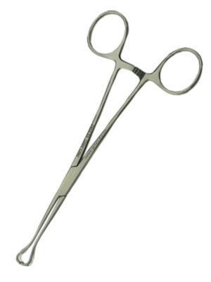 Babcock Tissue Forceps